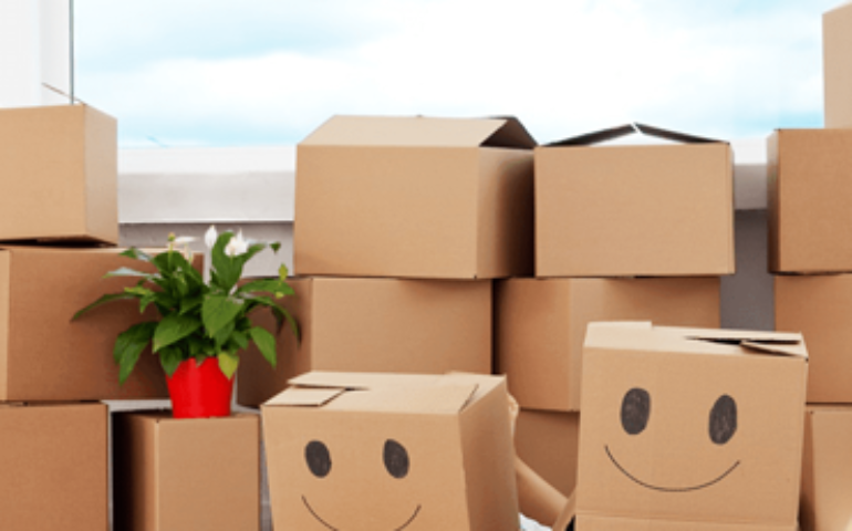 Miljøvennlig Flytting i Oslo: En Komplett Guide til Grønn og Bærekraftig Flytteprosess